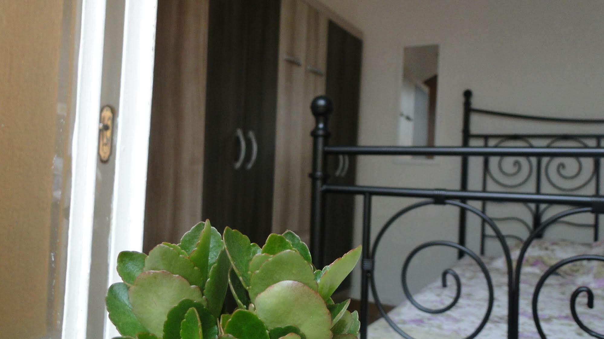 Today Hostel São Paulo Luaran gambar
