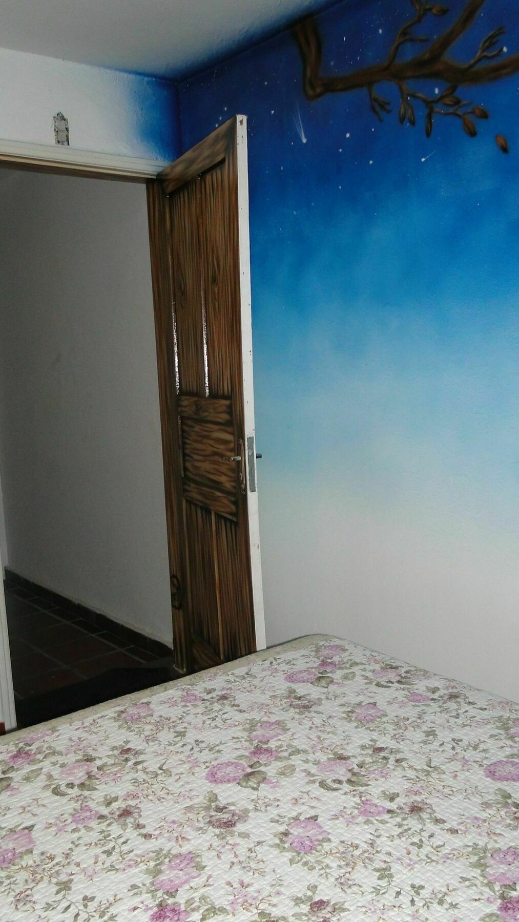 Today Hostel São Paulo Luaran gambar